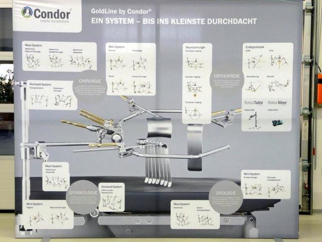 condor_16