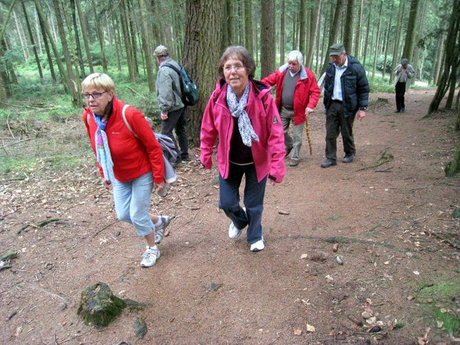 silberbachtal_05