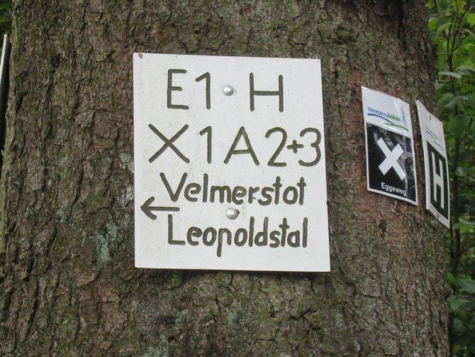 silberbachtal_12