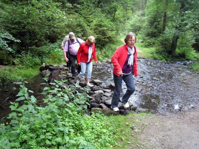 silberbachtal_14